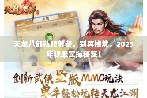 天龙八部私服养老，别再掉坑，2025年稳服实操秘笈！