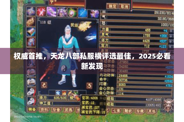 权威首推，天龙八部私服横评选最佳，2025必看新发现