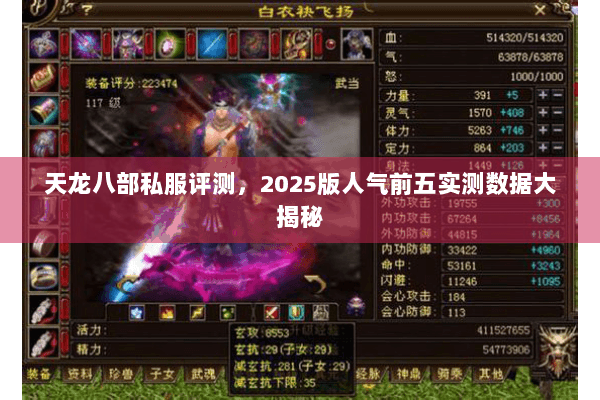 天龙八部私服评测,2025版人气前五实测数据大揭秘 天龙八部私服评测,2025版人气前五实测数据大揭秘