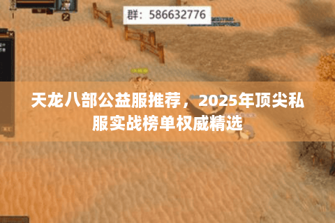 天龙八部公益服推荐,2025年顶尖私服实战榜单权威精选 天龙八部公益服推荐,2025年顶尖私服实战榜单权威精选