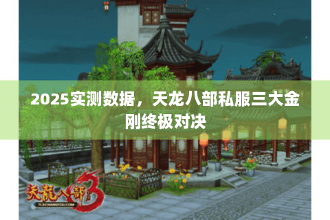 2025实测数据，天龙八部私服三大金刚终极对决