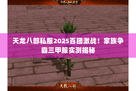 天龙八部私服2025百团激战！家族争霸三甲服实测揭秘