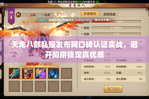 天龙八部私服发布网口碑认证实战，避开陷阱锁定真优质