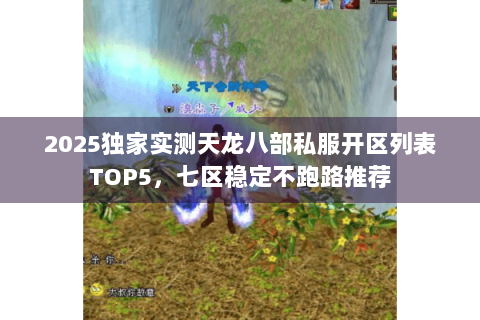 2025独家实测天龙八部私服开区列表TOP5,七区稳定不跑路推荐 2025独家实测天龙八部私服开区列表TOP5,七区稳定不跑路推荐