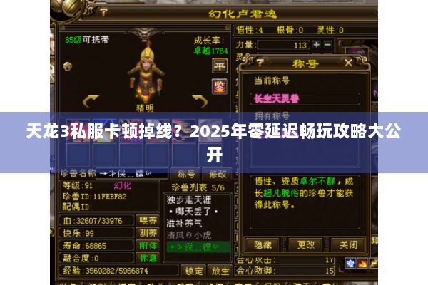 天龙3私服卡顿掉线？2025年零延迟畅玩攻略大公开