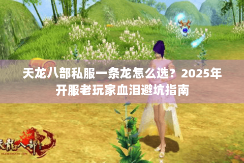 天龙八部私服一条龙怎么选?2025年开服老玩家血泪避坑指南 天龙八部私服一条龙怎么选?2025年开服老玩家血泪避坑指南