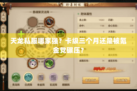 天龙私服哪家强？卡级三个月还是被氪金党碾压？