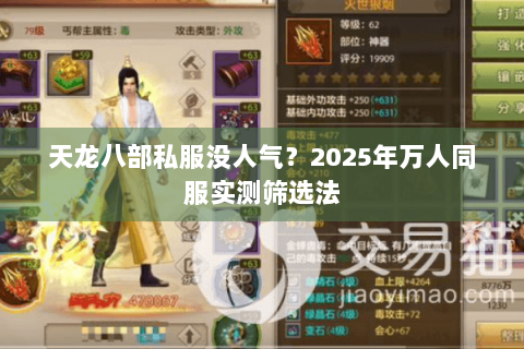 天龙八部私服没人气？2025年万人同服实测筛选法