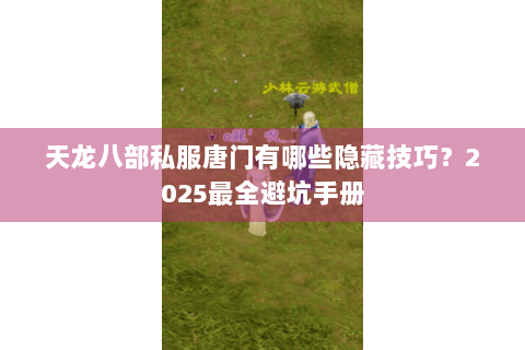 天龙八部私服唐门有哪些隐藏技巧？2025最全避坑手册