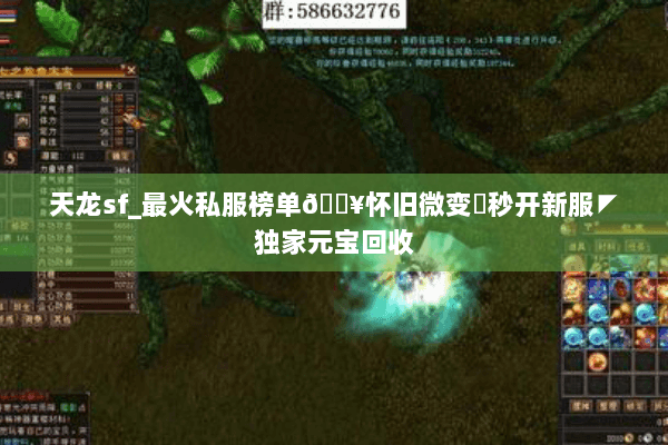 天龙sf_最火私服榜单🔥怀旧微变▷秒开新服◤独家元宝回收