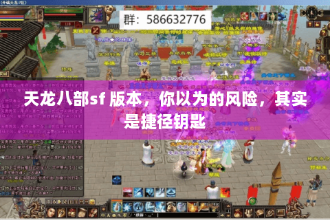 天龙八部sf 版本，你以为的风险，其实是捷径钥匙