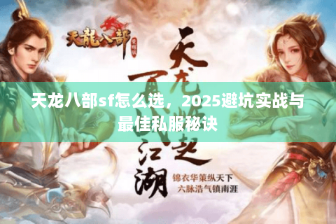 天龙八部sf怎么选，2025避坑实战与最佳私服秘诀