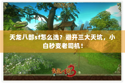 天龙八部sf怎么选？避开三大天坑，小白秒变老司机！