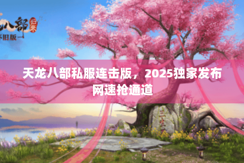 天龙八部私服连击版，2025独家发布网速抢通道
