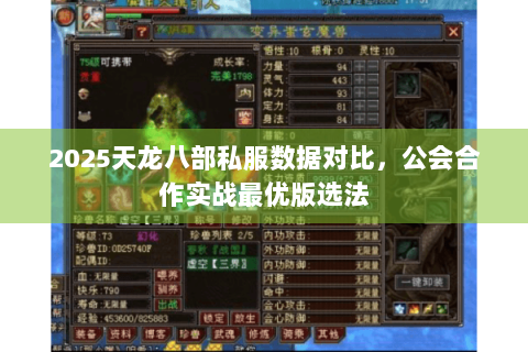 2025天龙八部私服数据对比，公会合作实战最优版选法