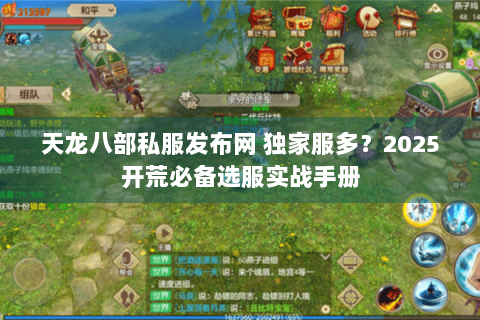 天龙八部私服发布网 独家服多？2025开荒必备选服实战手册