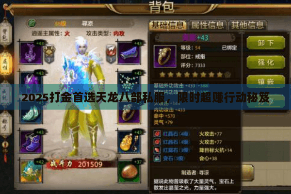 2025打金首选天龙八部私服，限时超赚行动秘笈