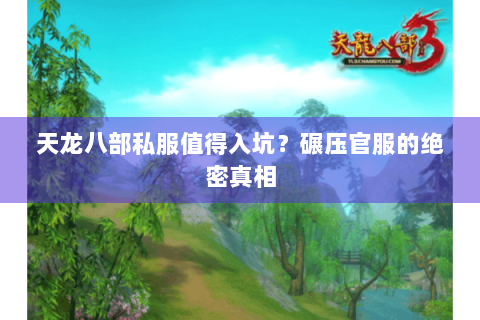天龙八部私服值得入坑?碾压官服的绝密真相 天龙八部私服值得入坑?碾压官服的绝密真相