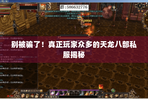 别被骗了！真正玩家众多的天龙八部私服揭秘