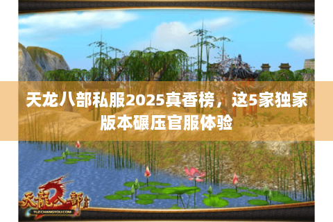 天龙八部私服2025真香榜，这5家独家版本碾压官服体验