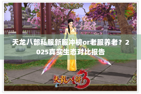 天龙八部私服新服冲榜or老服养老？2025真实生态对比报告