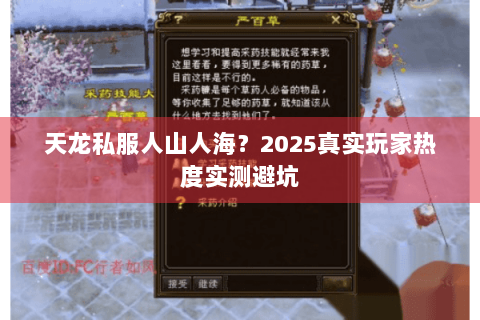 天龙私服人山人海?2025真实玩家热度实测避坑 天龙私服人山人海?2025真实玩家热度实测避坑