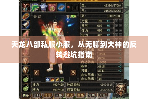 天龙八部私服小服，从无聊到大神的反转避坑指南