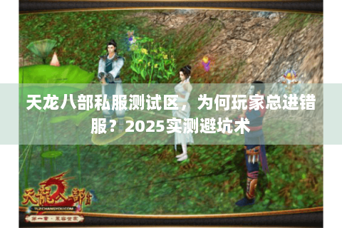 天龙八部私服测试区,为何玩家总进错服?2025实测避坑术 天龙八部私服测试区,为何玩家总进错服?2025实测避坑术