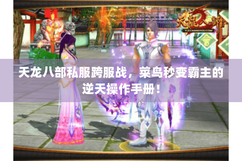 天龙八部私服跨服战,菜鸟秒变霸主的逆天操作手册! 天龙八部私服跨服战,菜鸟秒变霸主的逆天操作手册!