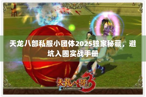 天龙八部私服小团体2025独家秘藏，避坑入圈实战手册