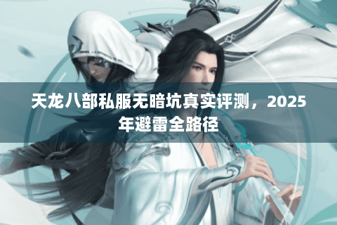 天龙八部私服无暗坑真实评测，2025年避雷全路径