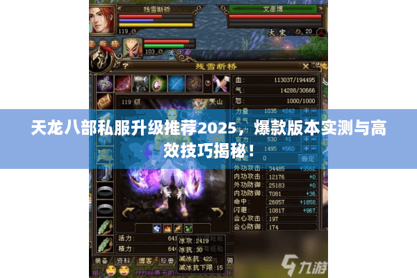 天龙八部私服升级推荐2025,爆款版本实测与高效技巧揭秘! 天龙八部私服升级推荐2025,爆款版本实测与高效技巧揭秘!