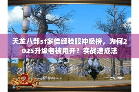天龙八部sf多倍经验服冲级榜，为何2025升级老被甩开？实战速成法