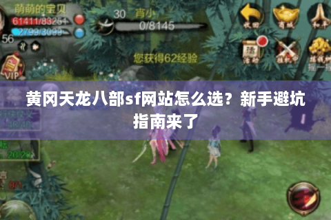 黄冈天龙八部sf网站怎么选?新手避坑指南来了 黄冈天龙八部sf网站怎么选?新手避坑指南来了
