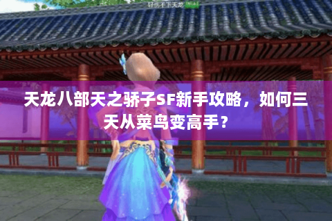 天龙八部天之骄子SF新手攻略,如何三天从菜鸟变高手? 天龙八部天之骄子SF新手攻略,如何三天从菜鸟变高手?