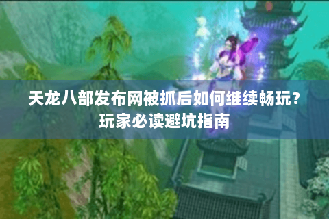 天龙八部发布网被抓后如何继续畅玩？玩家必读避坑指南