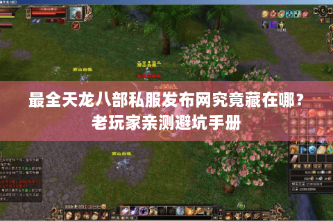 最全天龙八部私服发布网究竟藏在哪？老玩家亲测避坑手册