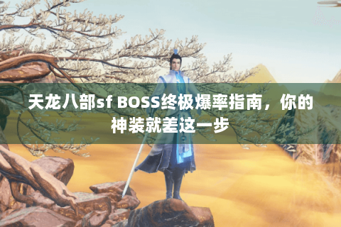 天龙八部sf BOSS终极爆率指南,你的神装就差这一步 天龙八部sf BOSS终极爆率指南,你的神装就差这一步