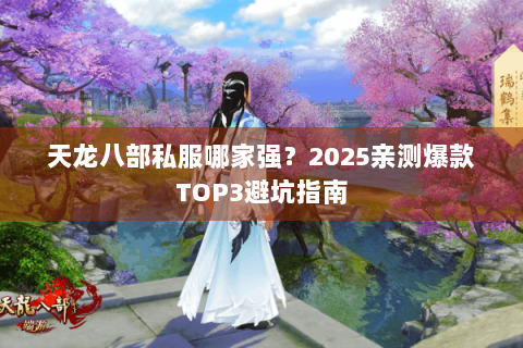 天龙八部私服哪家强？2025亲测爆款TOP3避坑指南