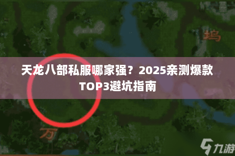 天龙八部私服哪家强？2025亲测爆款TOP3避坑指南