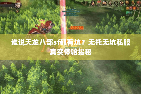 谁说天龙八部sf都有坑？无托无坑私服真实体验揭秘
