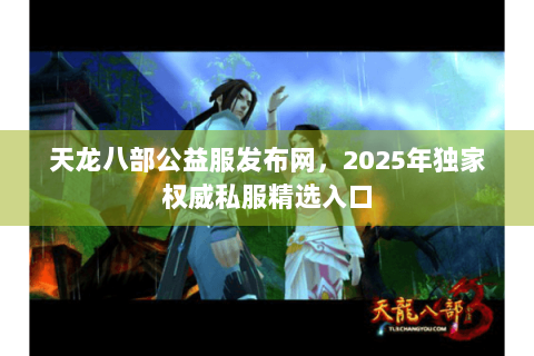 天龙八部公益服发布网，2025年独家权威私服精选入口