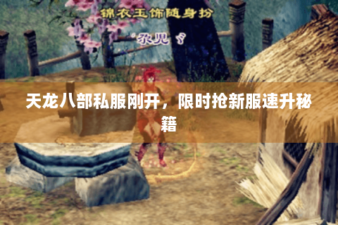 天龙八部私服刚开,限时抢新服速升秘籍 天龙八部私服刚开,限时抢新服速升秘籍