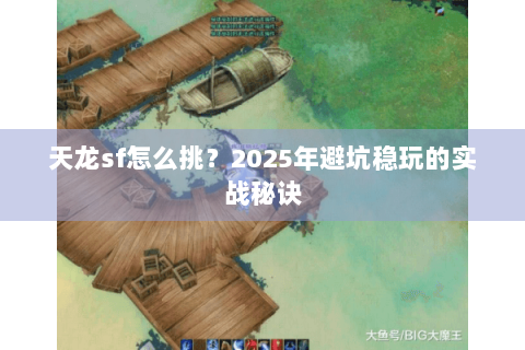 天龙sf怎么挑？2025年避坑稳玩的实战秘诀
