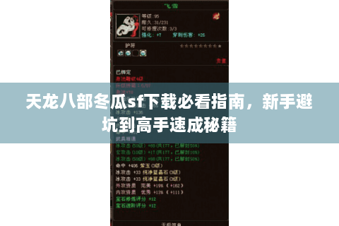 天龙八部冬瓜sf下载必看指南，新手避坑到高手速成秘籍