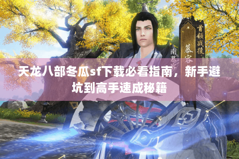 天龙八部冬瓜sf下载必看指南，新手避坑到高手速成秘籍