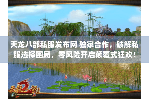 天龙八部私服发布网 独家合作，破解私服选择困局，零风险开启颠覆式狂欢！
