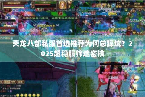 天龙八部私服首选推荐为何总踩坑?2025超稳服筛选密技 天龙八部私服首选推荐为何总踩坑?2025超稳服筛选密技
