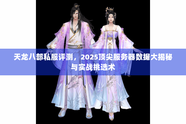 天龙八部私服评测，2025顶尖服务器数据大揭秘与实战挑选术