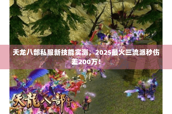 天龙八部私服新技能实测,2025最火三流派秒伤差200万! 天龙八部私服新技能实测,2025最火三流派秒伤差200万!